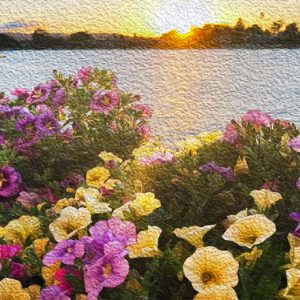 Sunset and Flowers on the Water