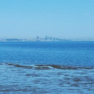 SF View from 92