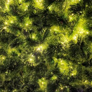 Pine With Lights