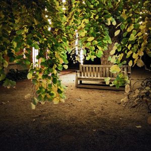 Filoli Restroom Bench
