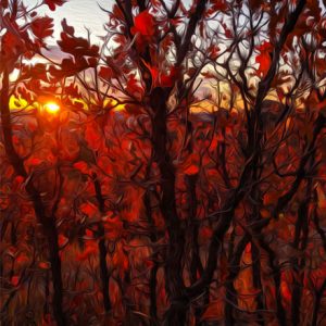 Fall Sunset
