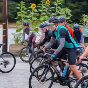 Bicycles At Alice's